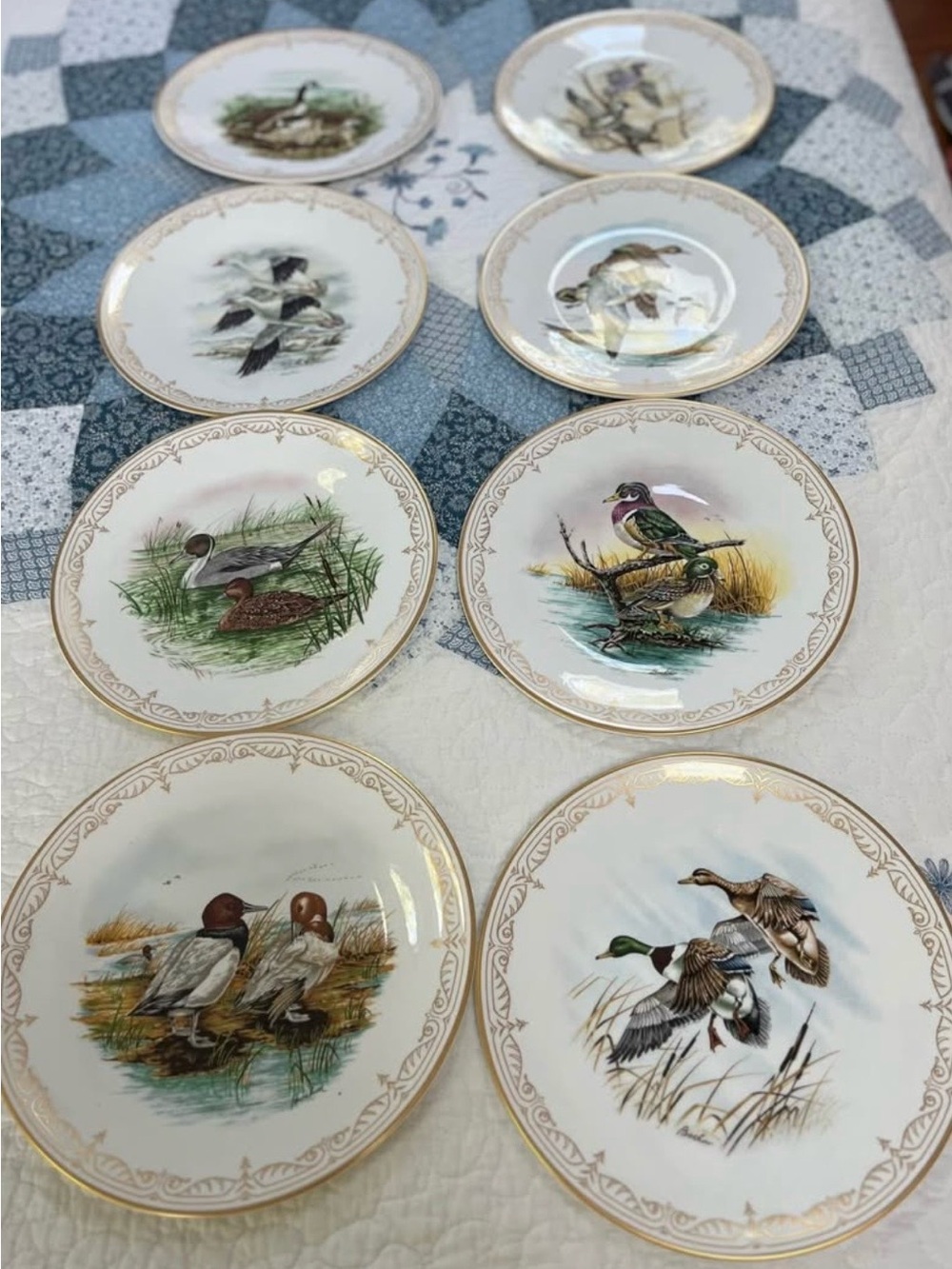 Water Bird Plate Collection by Boehm Bone China set of 8